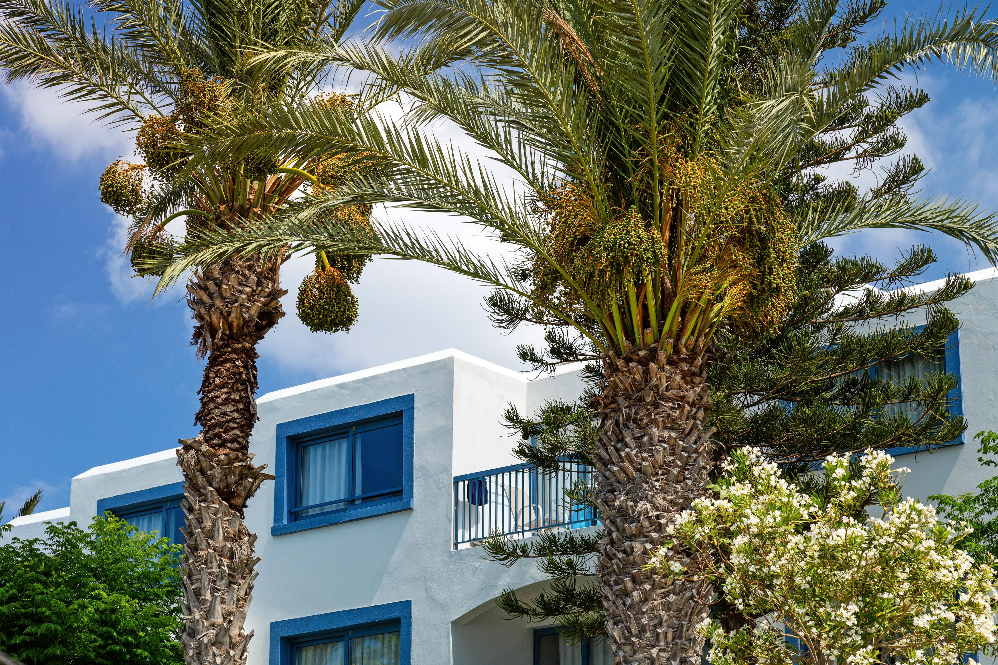 Nausicaa Beach Protaras Dış mekan fotoğraf