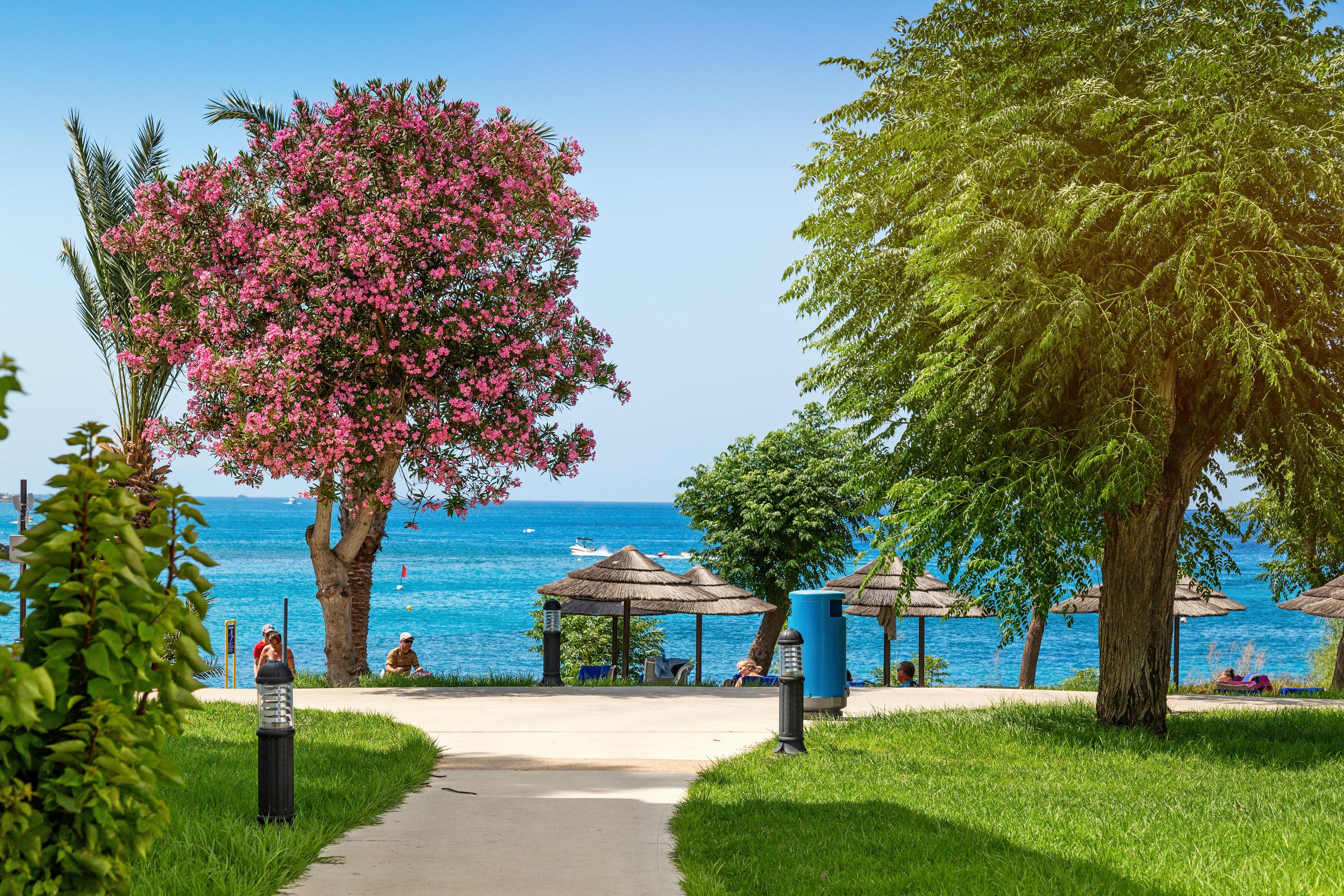 Nausicaa Beach Protaras Dış mekan fotoğraf